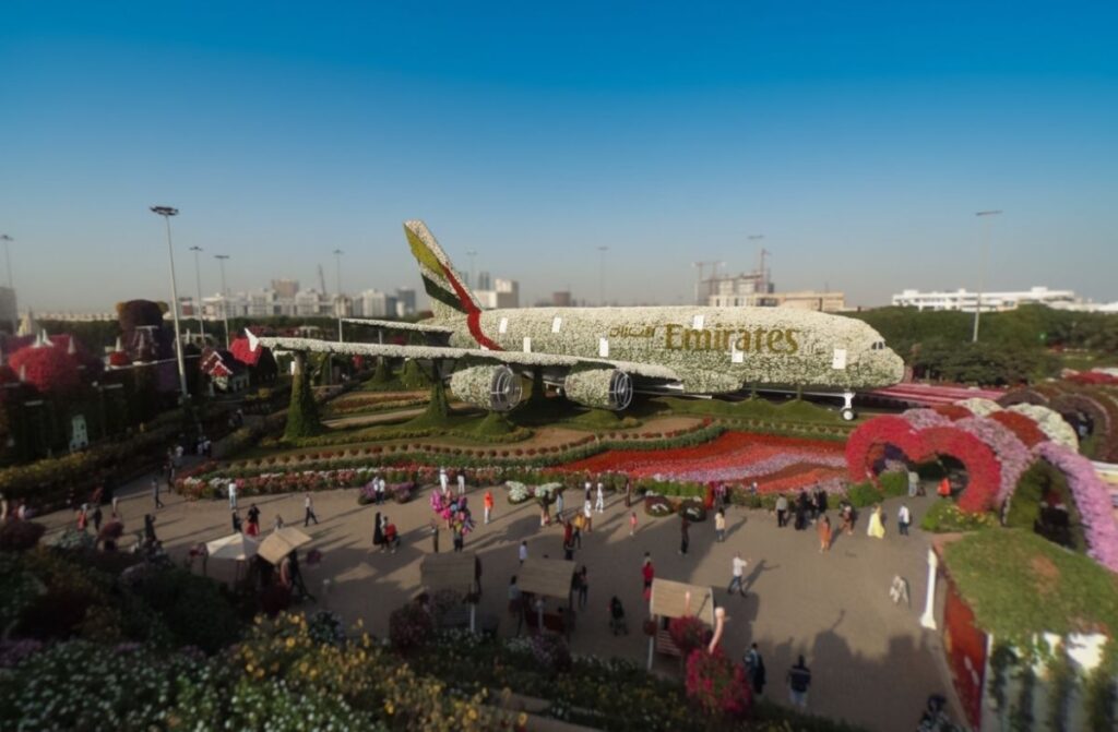 Hidden Gems In Miracle Garden